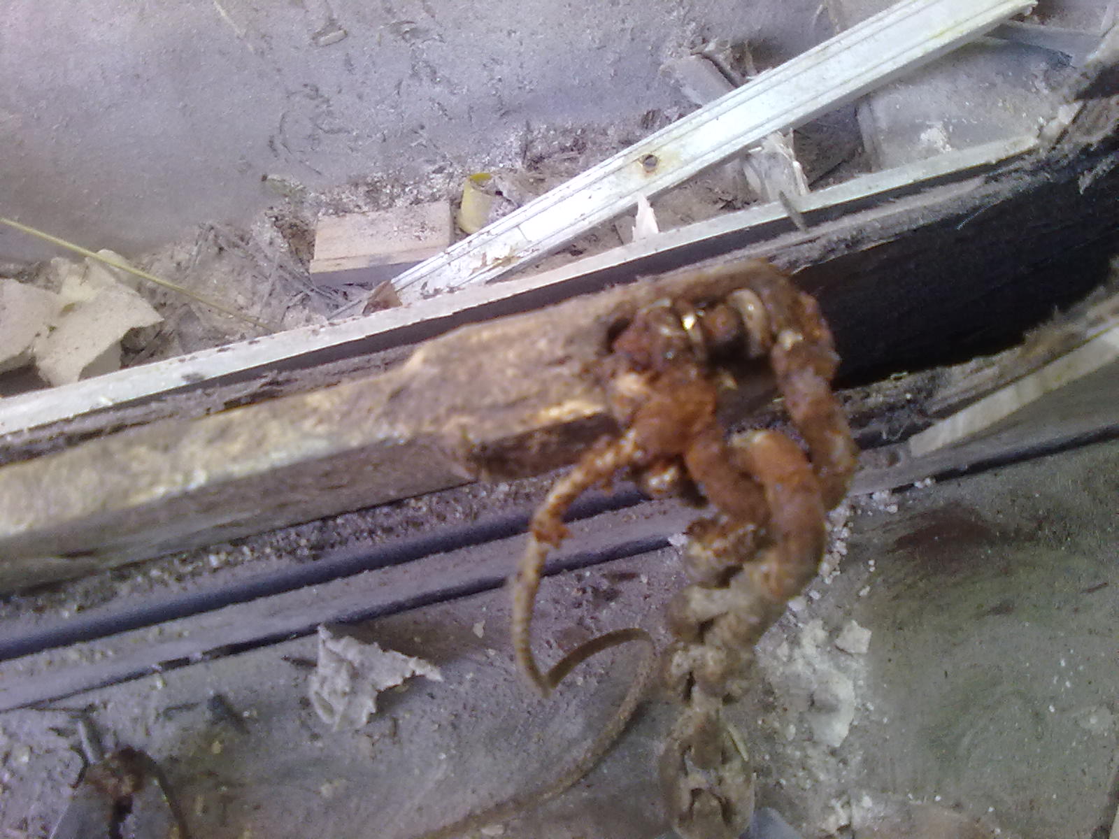 detail of the clever chain attatchment, so that the shackle cannot rub away