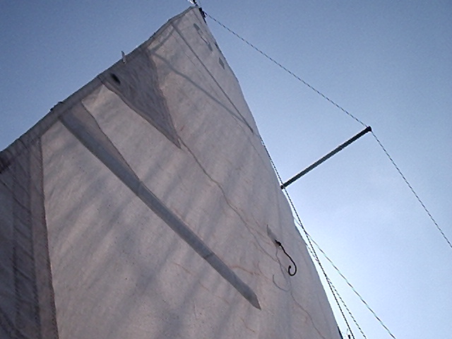 leeward starboard side with batons and leech cord working nicely F2