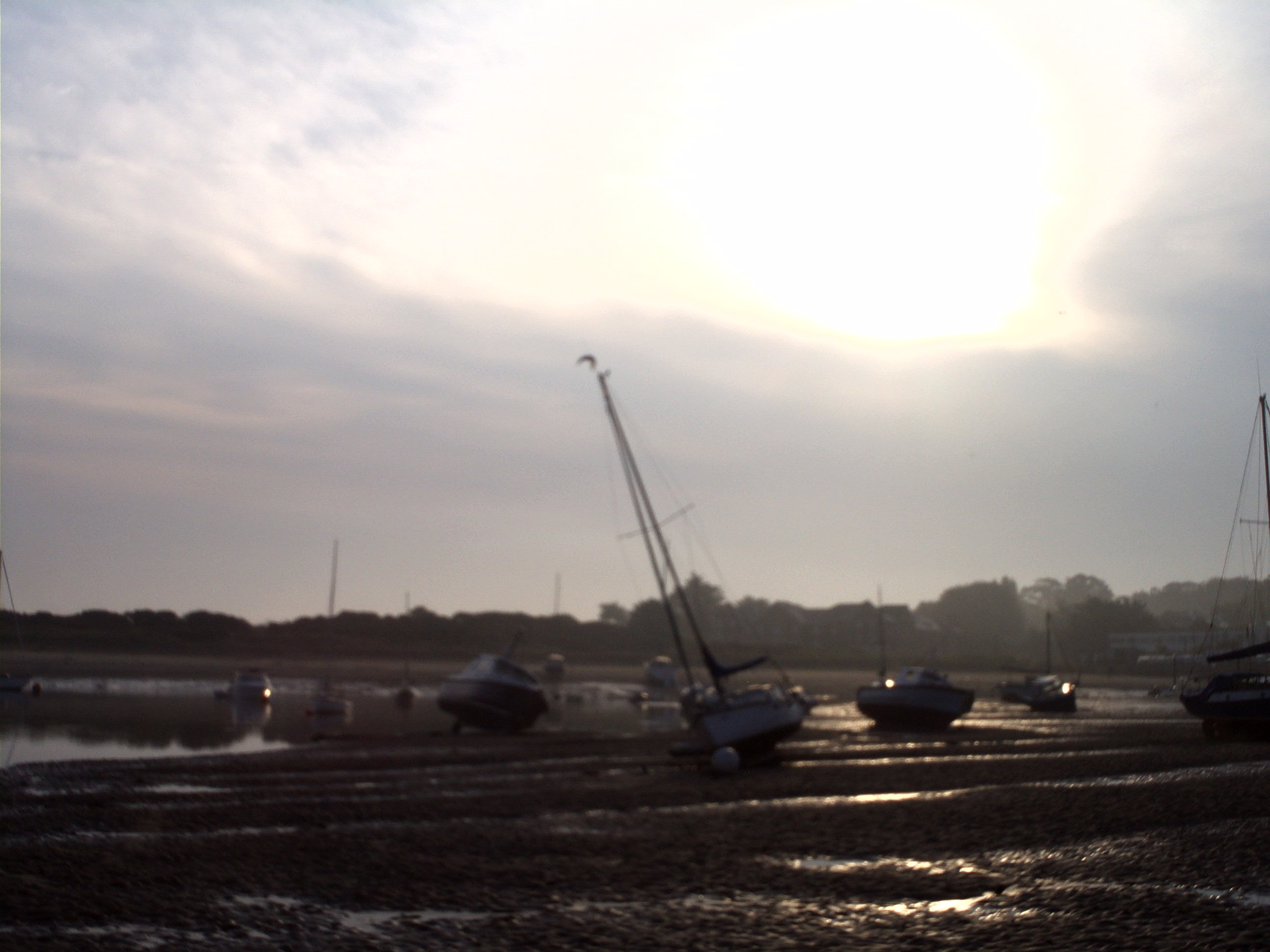 biggest mast by a long way