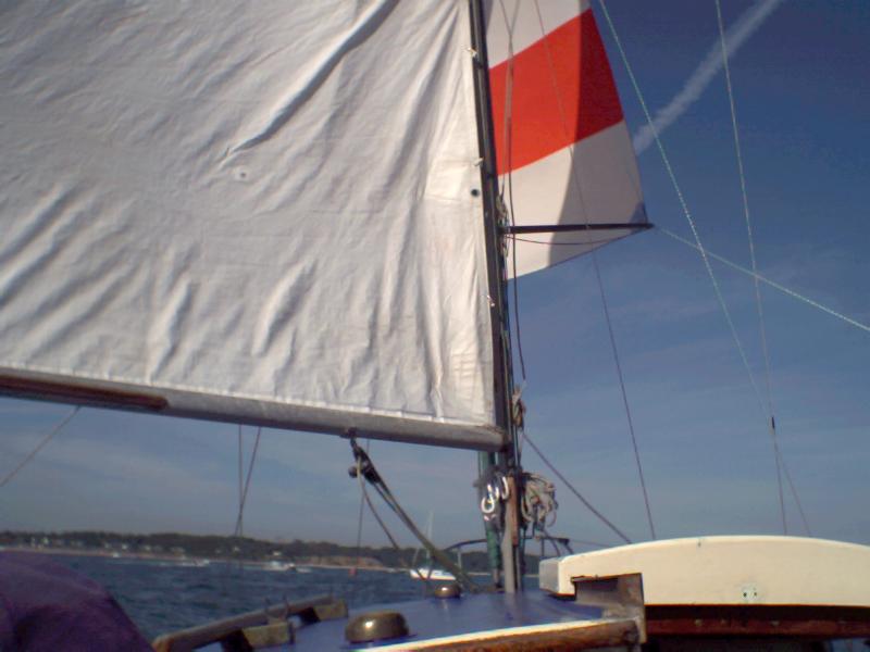 spinnaker flying  with pole and main - note inadequate luff anf foot tension, i only corrected later sailing